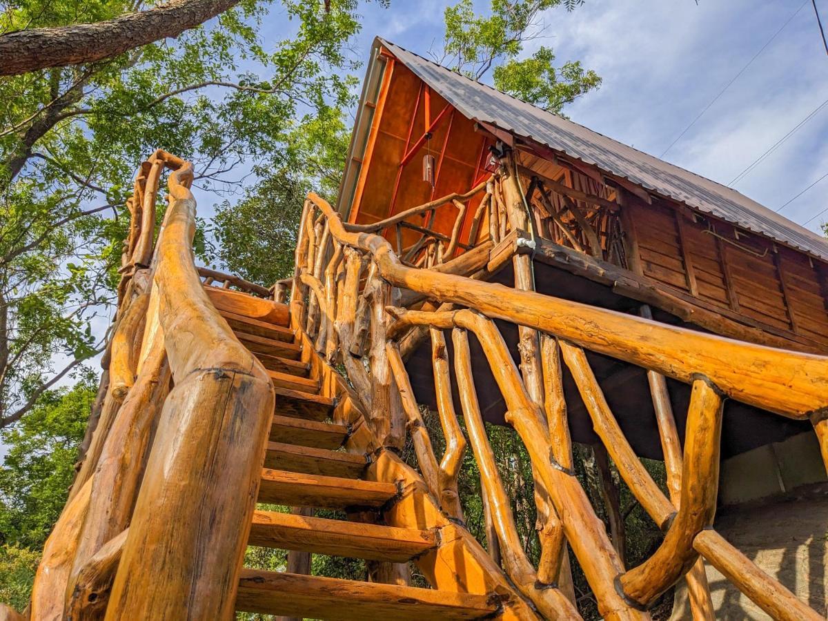 Wooden Cabana Sigiriya Dış mekan fotoğraf