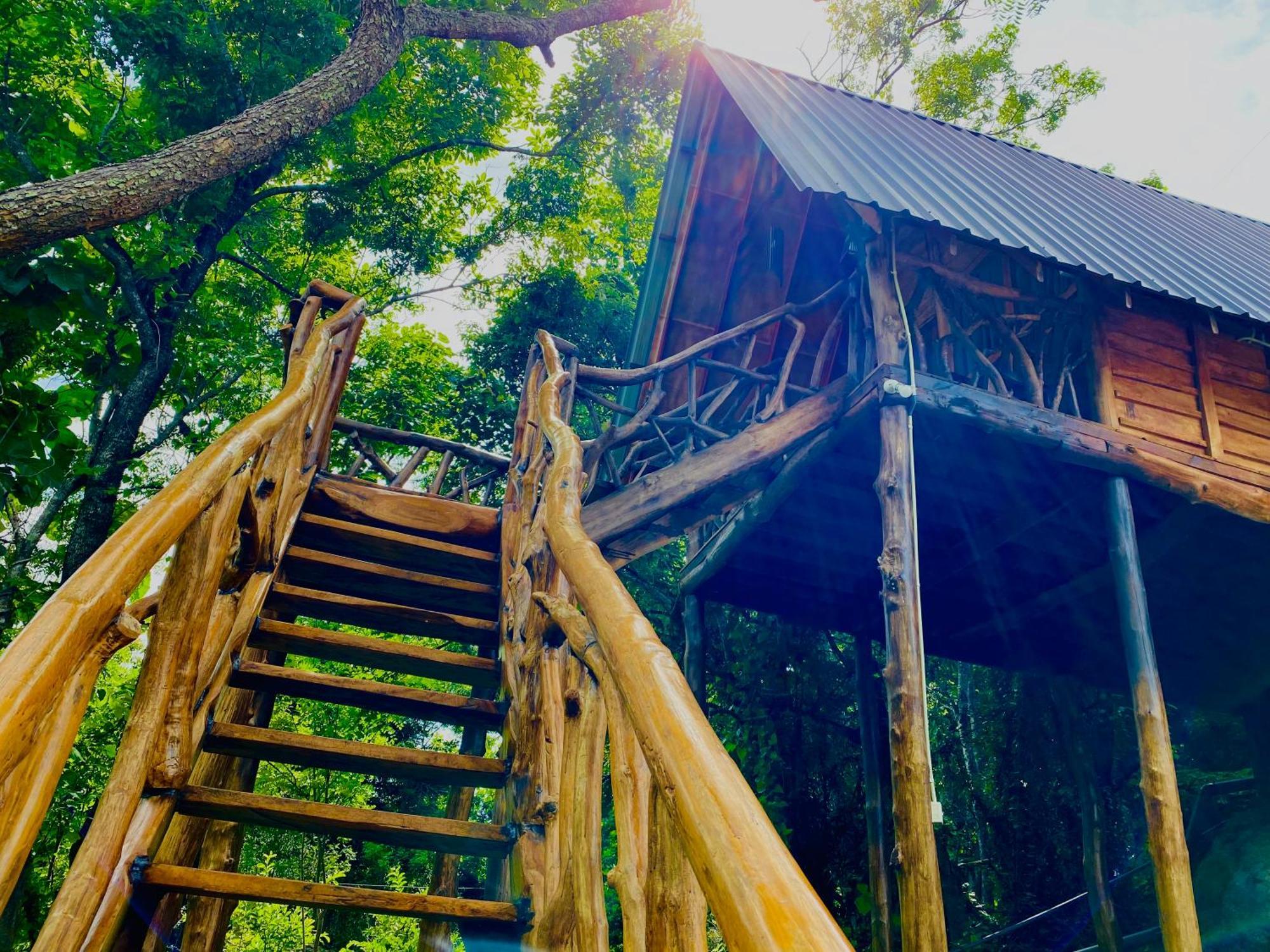Wooden Cabana Sigiriya Dış mekan fotoğraf